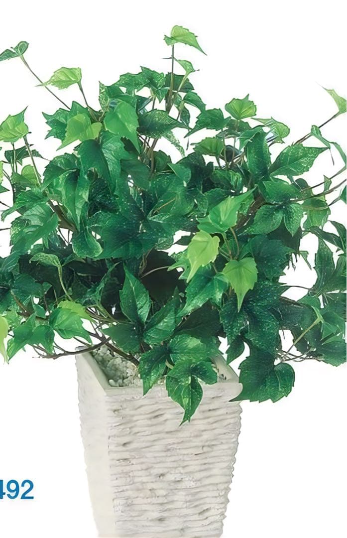 光触媒　人工観葉植物　ウォールグリーン　フェイクグリーン　シサスR