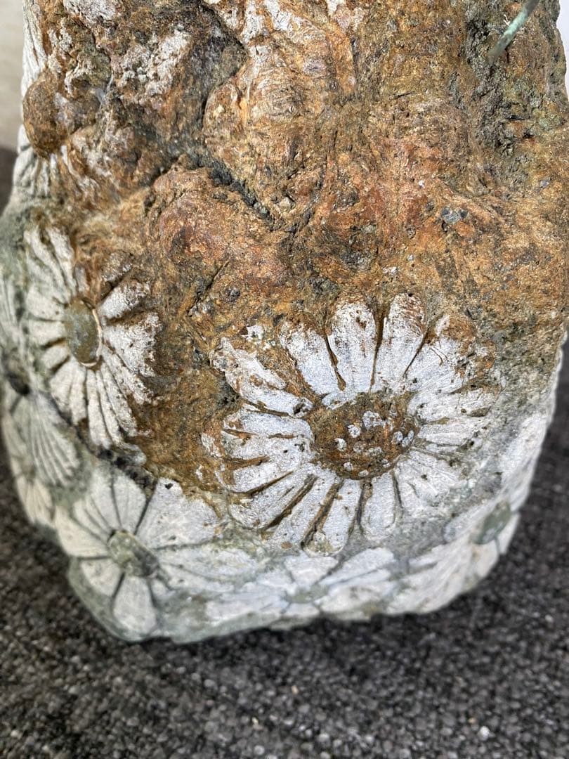 花模様の水石　鑑賞石　菊花石 自然石　盆石　水石　観賞石　置物