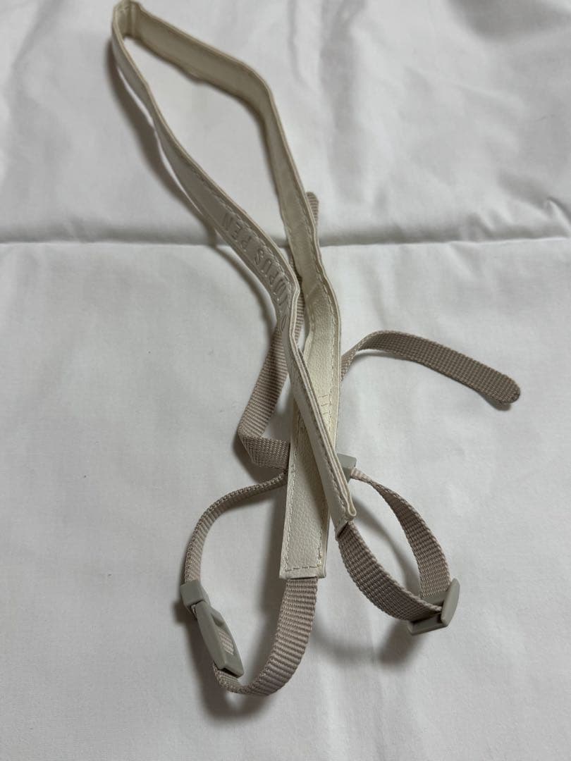 OLYMPUS PEN E-PL10 本体とレンズ2個付き