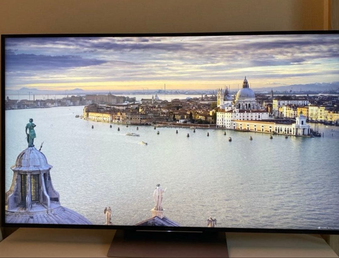 【金欠学生】BRAVIA KJ55X9300D ソニー55インチ4K