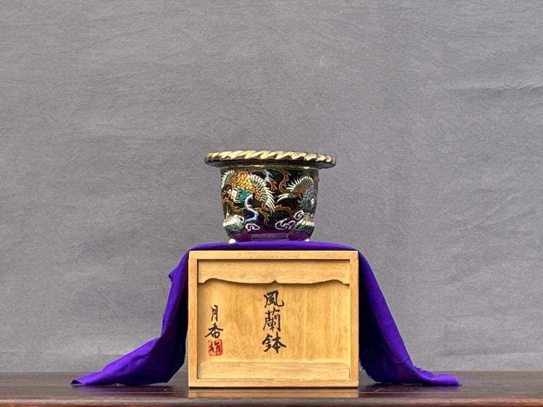 三河盆栽　月香　蘭鉢