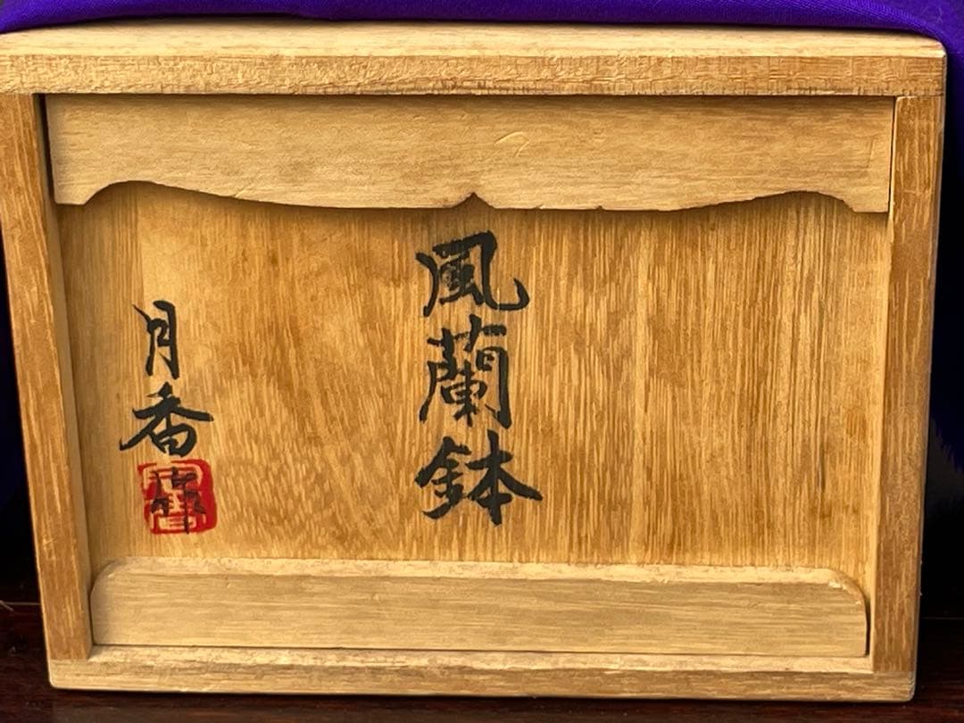 三河盆栽　月香　蘭鉢