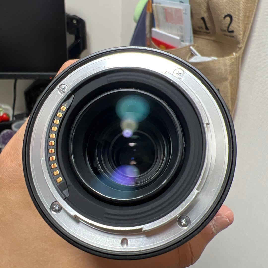 Nikon NIKKOR Z 24-200mm / f4-6.3 ズームレンズ