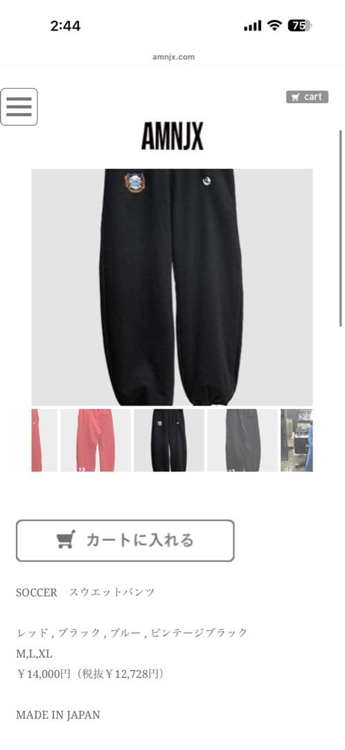 AMNJX セットアップ