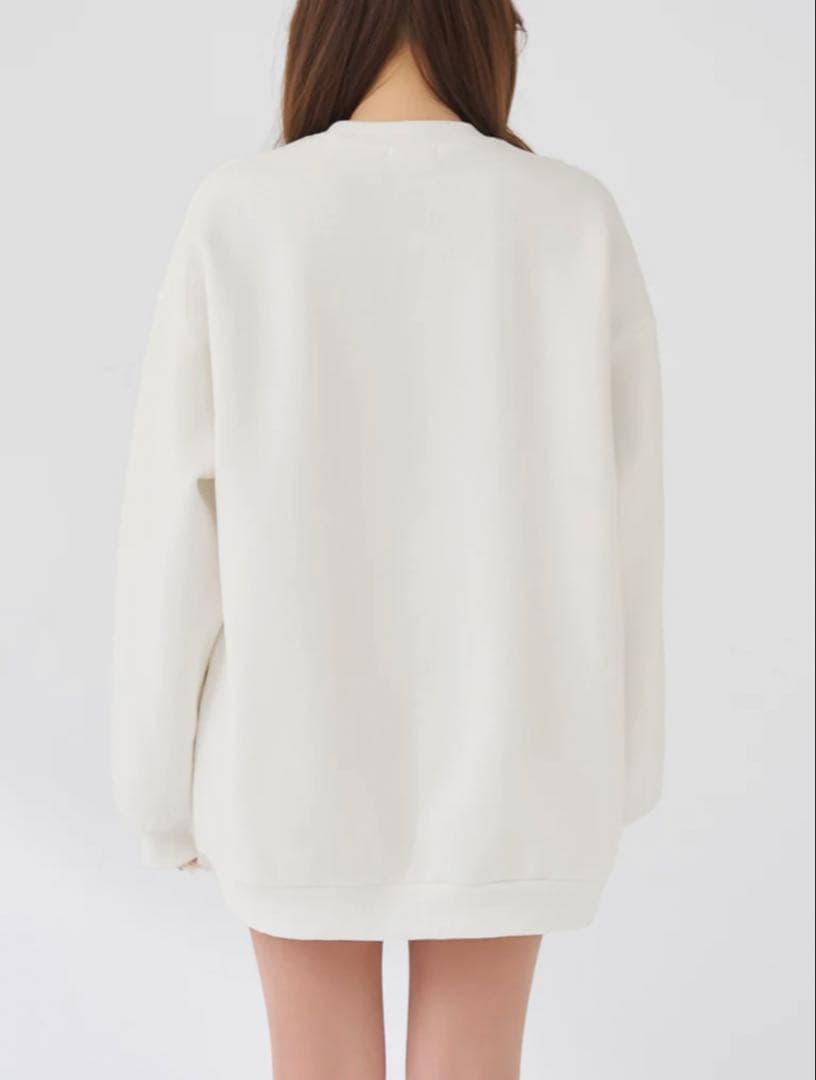 Darich DDロゴビジュースウェットプルオーバー