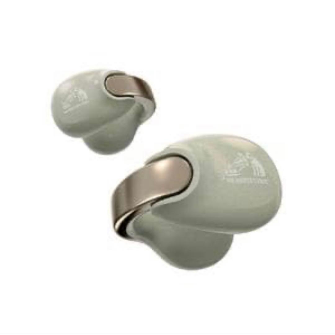 JVCケンウッド Victor HA-NP1T-GN