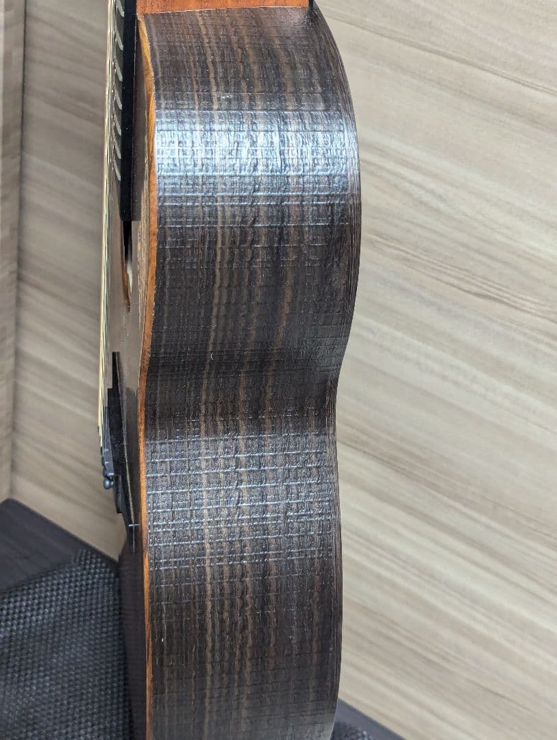 かんな LAG GUITARS SAUVAGE-PE パーラーギター