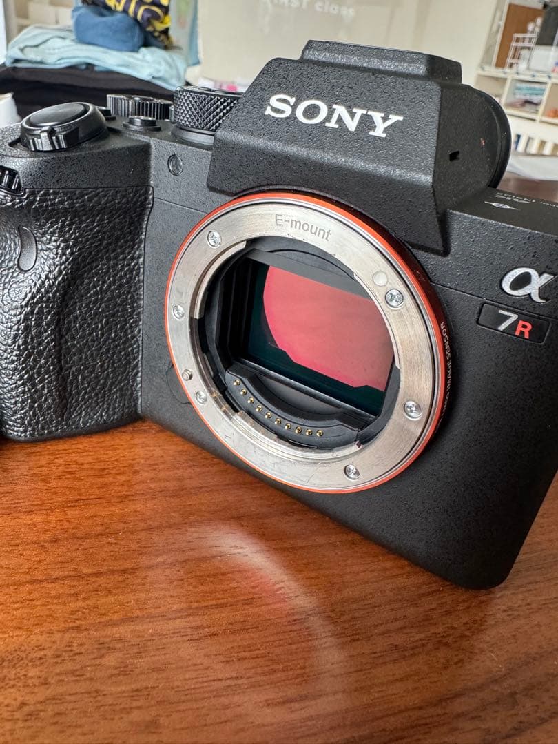 専用です。Sony α7RⅣ ミラーレス一眼カメラ 本体