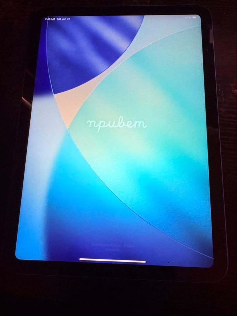 iPad 第10世代 256GB Wi-Fiモデル シルバー 美品 付属品あり