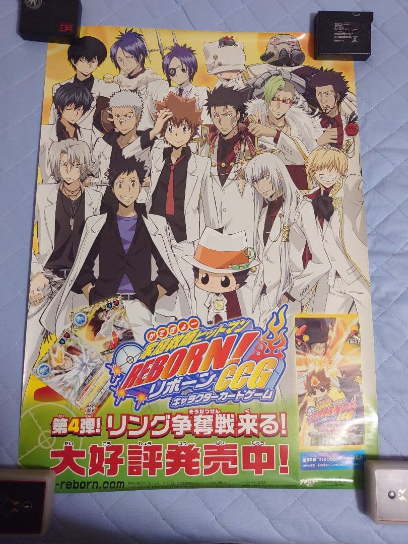 630.19枚セット　家庭教師ヒットマンREBORN!　CCG ポスター