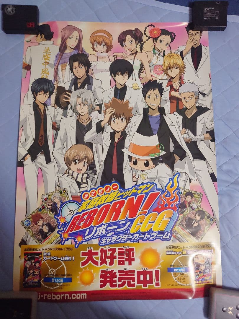 630.19枚セット　家庭教師ヒットマンREBORN!　CCG ポスター