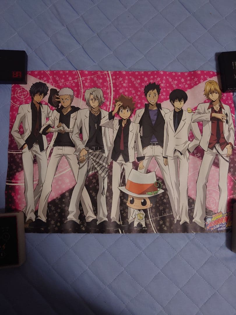 630.19枚セット　家庭教師ヒットマンREBORN!　CCG ポスター