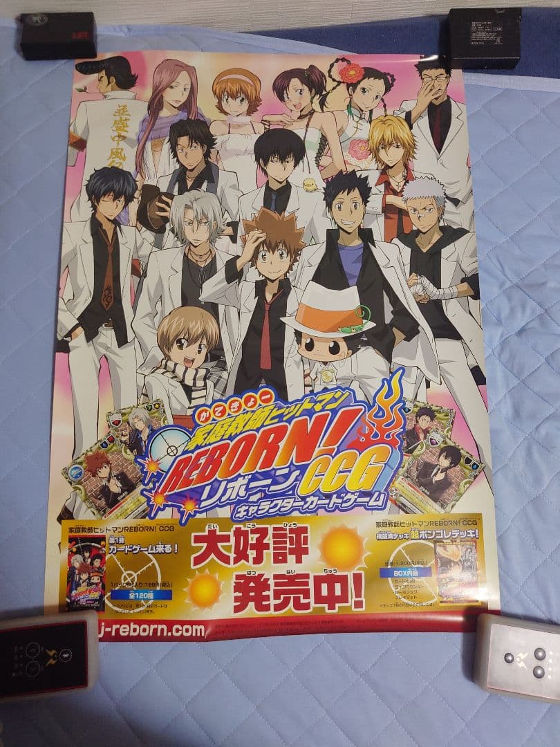 630.19枚セット　家庭教師ヒットマンREBORN!　CCG ポスター