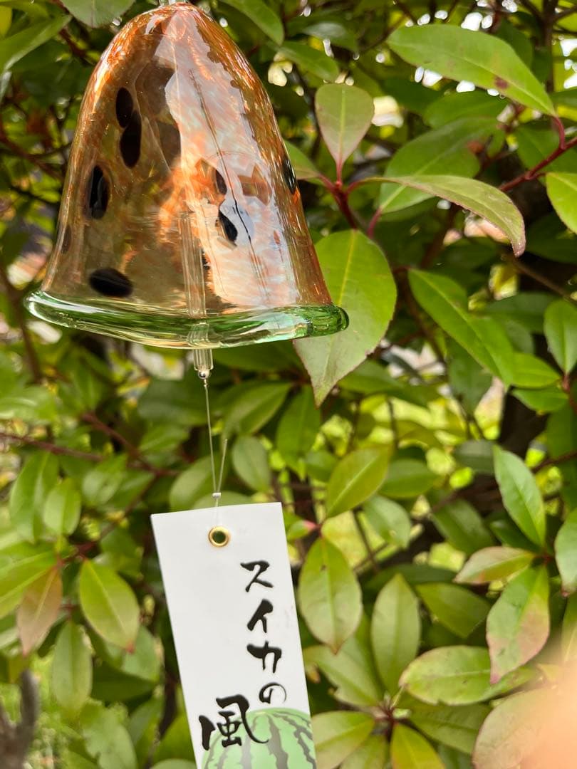 【新品】タクグラス TAKU GLASS 弥彦クラフト　スイカ風鈴