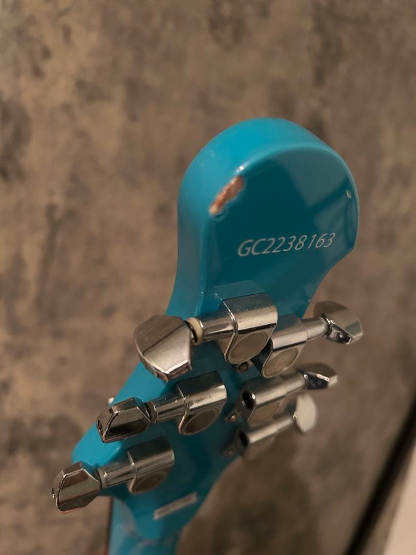 初音ミクアコースティックギター GC223816163