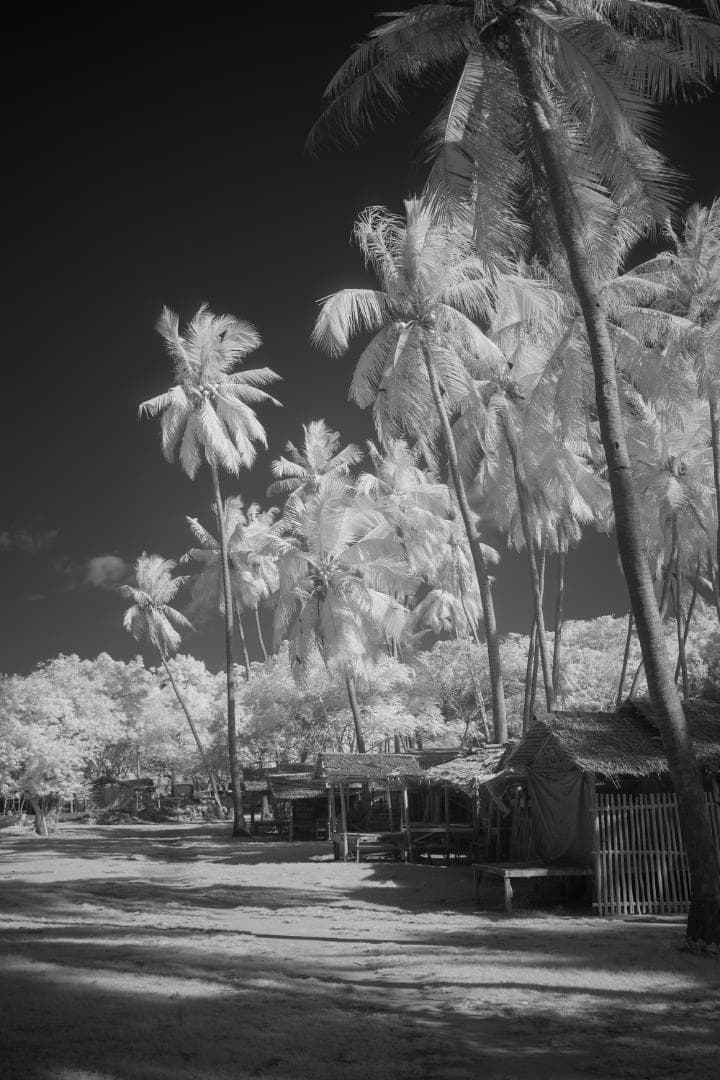 ソニー α7R フルスペクトラム改造 赤外線カメラ IR 作例有 Kolari