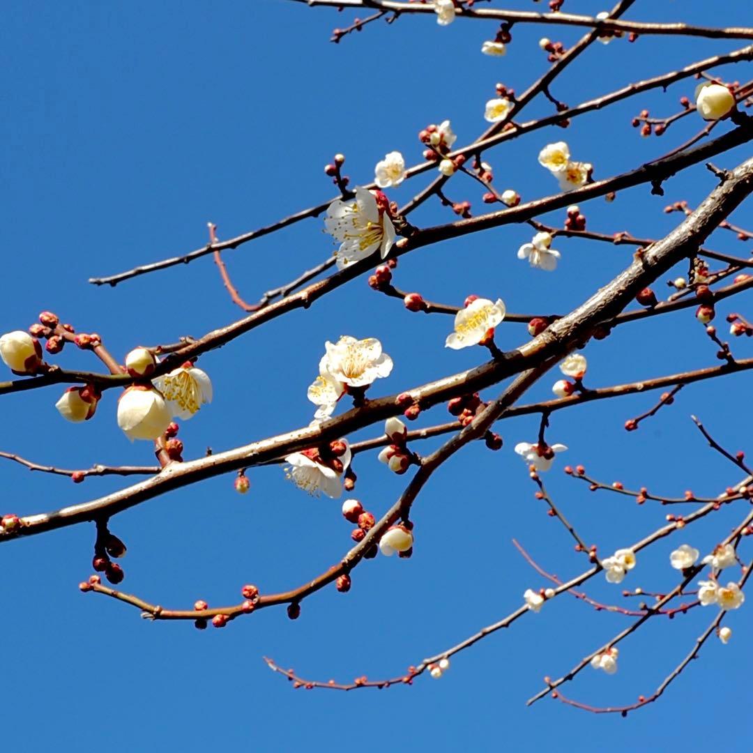 AI nikkor 24mm f2.8 オールドニコン　単焦点レンズ