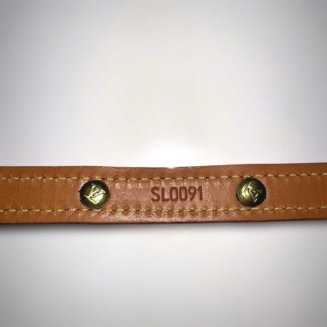 【極美品】LOUIS VUITTON 犬用首輪 モノグラム レザー 小型犬
