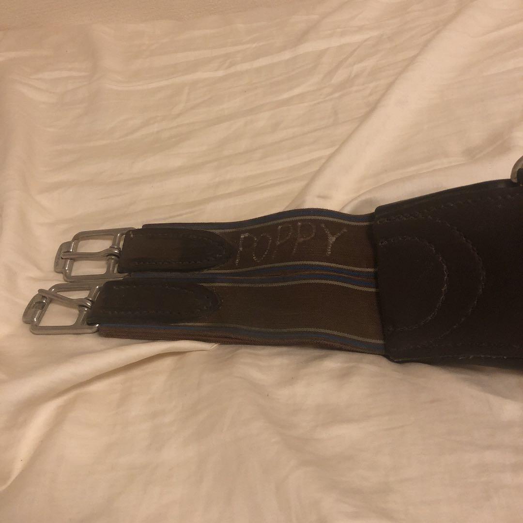 腹帯 スタッドガード 乗馬用品 馬術 スチューベン 馬具