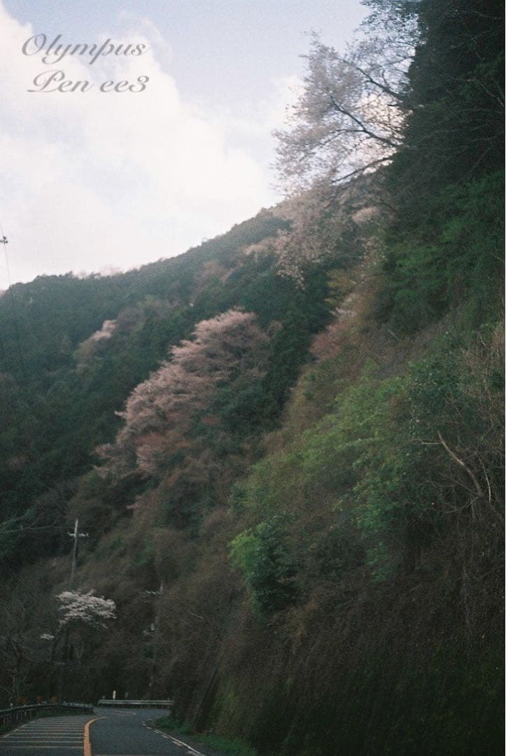 ★作例多数！★olympus pen ee3★完動・美品・赤ベロOK★入門に！