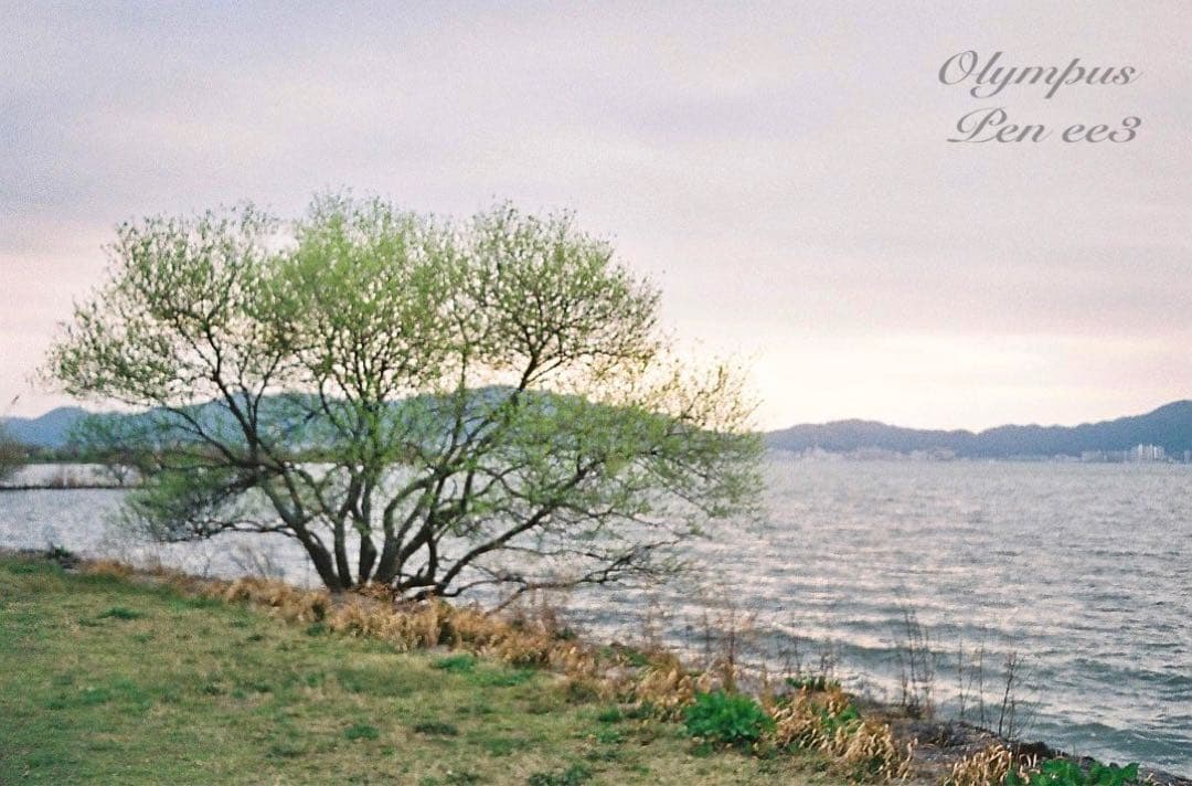 ★作例多数！★olympus pen ee3★完動・美品・赤ベロOK★入門に！