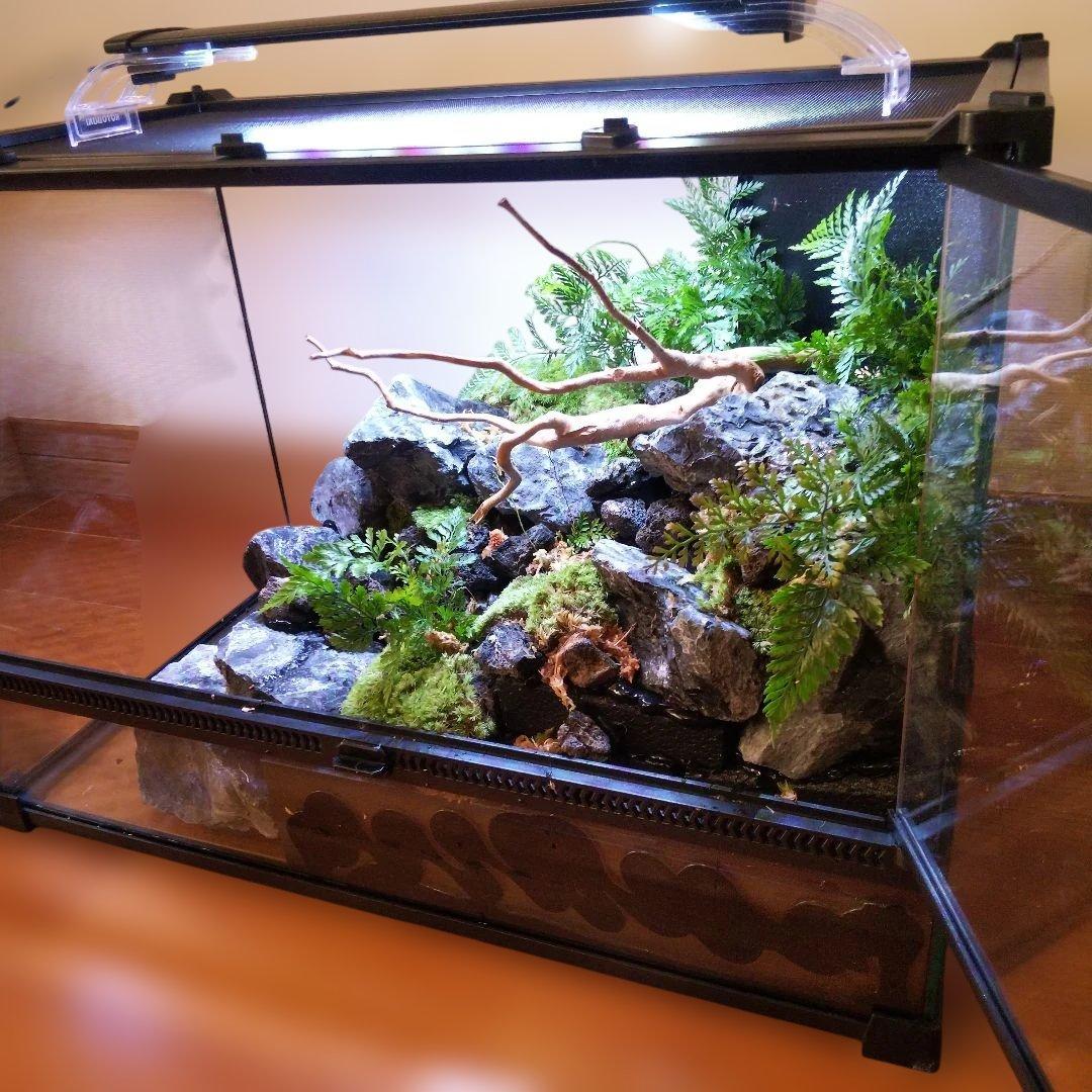 【受注生産】滝のあるアクアテラリウム　イモリウム　苔テラリウム　アクアテラリウム