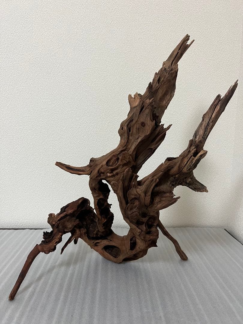 HX-076流木　ホーンウッド　マシンガンウッド　アクアリウム　ブランチウッド