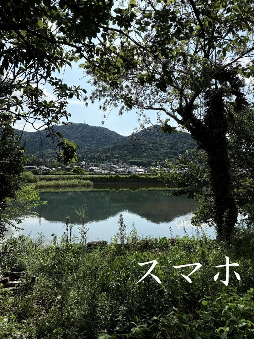 ショット数3603枚！WiFi機能付☆Nikon D5300☆初めての一眼レフに