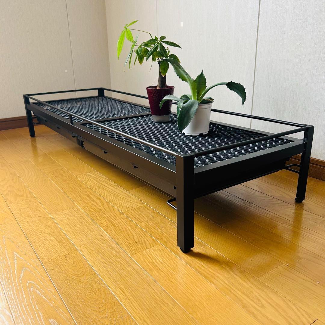 処分セール　シェルフ　植物棚　アガペラック 124cm x 41cm