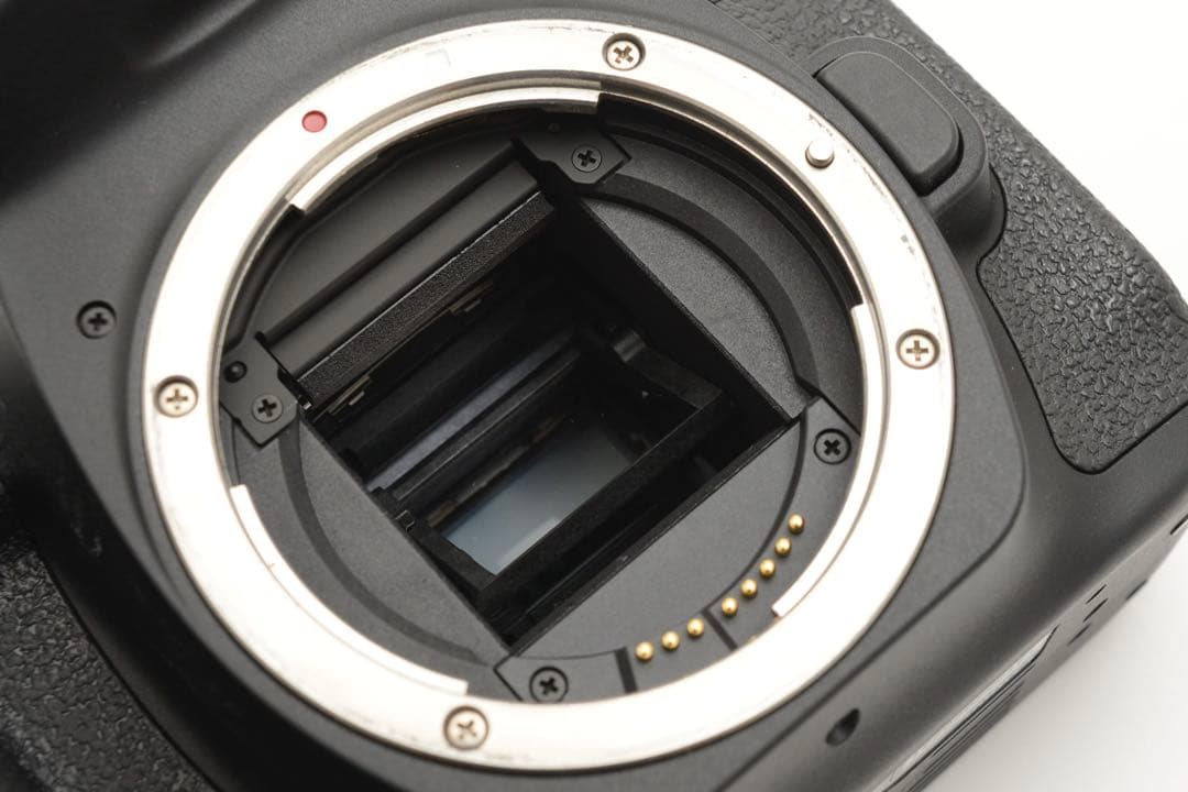 デジタル 一眼レフカメラ Canon EOS 90D標準&望遠ダブルレンズセット