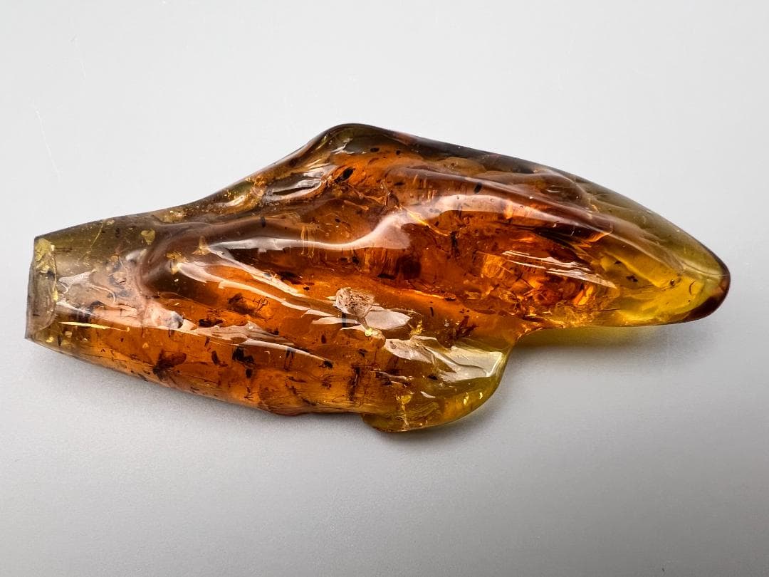 虫入り琥珀　蚊　蟻　多種多様な虫を大量内包　バルティックアンバー　バルト海沿岸