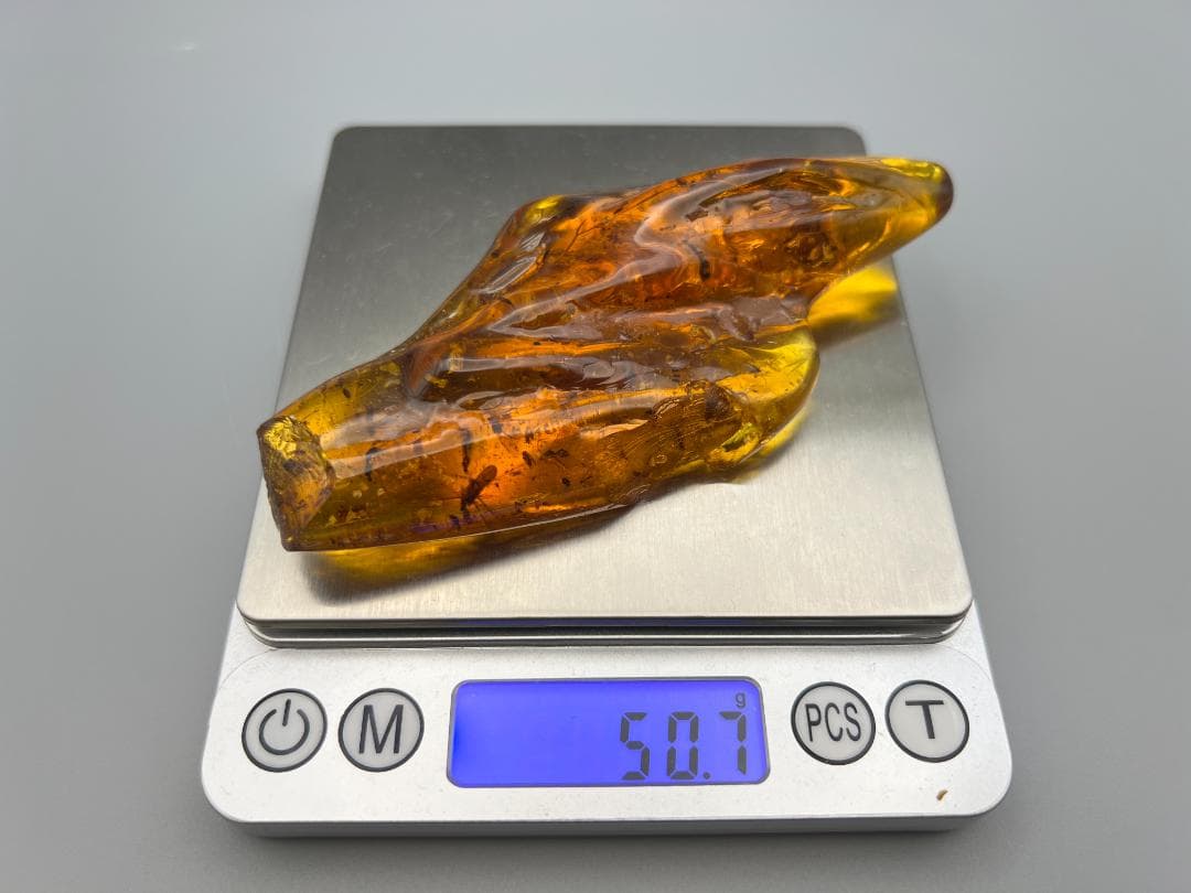虫入り琥珀　蚊　蟻　多種多様な虫を大量内包　バルティックアンバー　バルト海沿岸