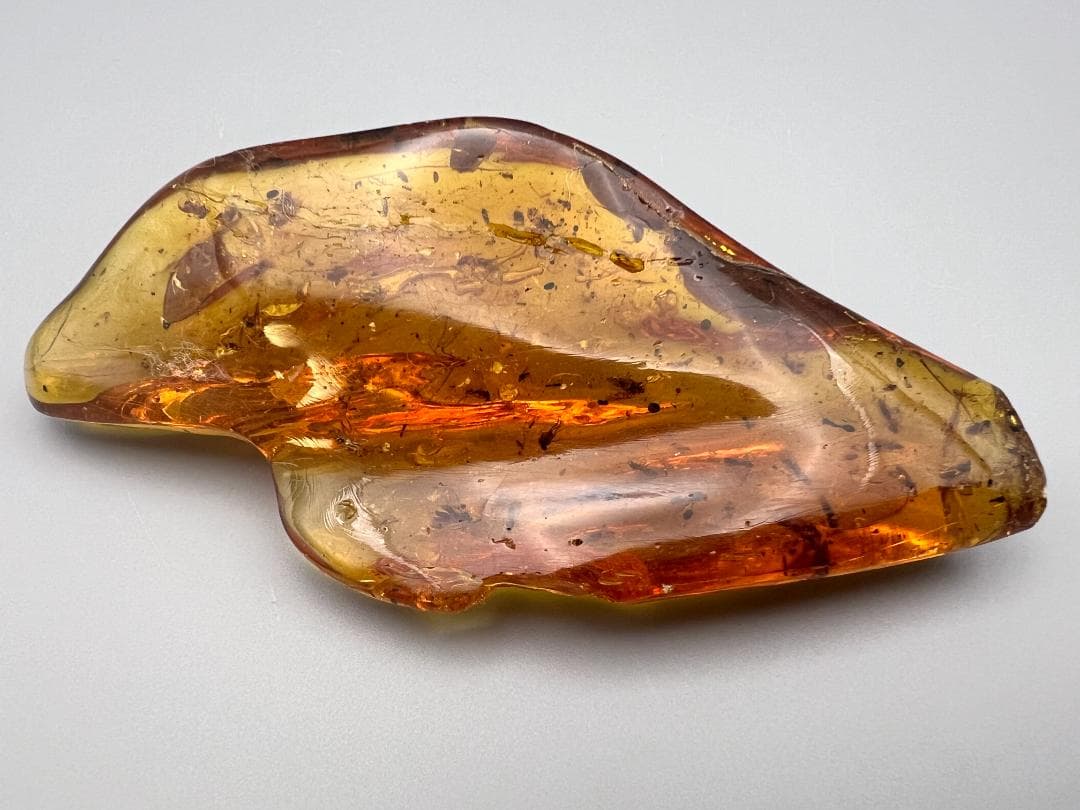 虫入り琥珀　蚊　蟻　多種多様な虫を大量内包　バルティックアンバー　バルト海沿岸