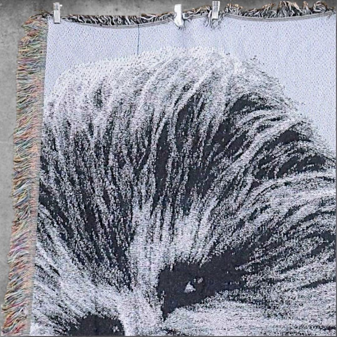 BOJU ムービー ラグ STAR WARS スターウォーズ チューバッカ 映画