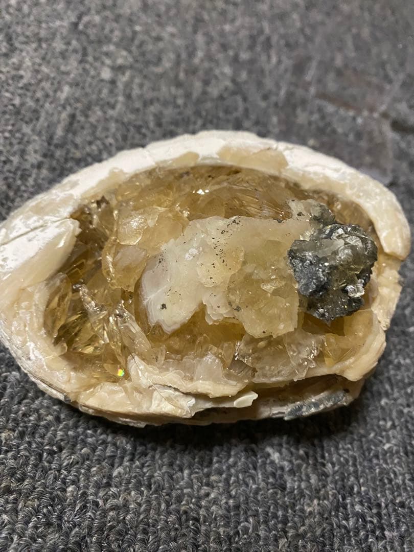 中身が結晶化した貝の化石