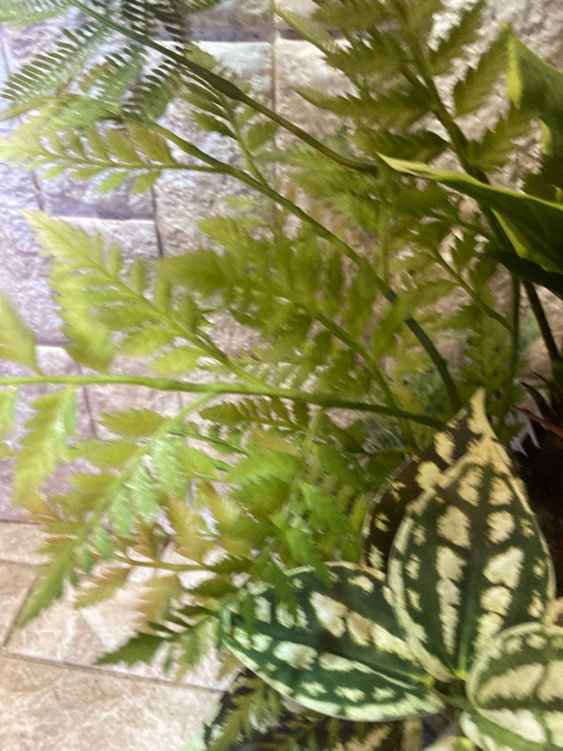 光触媒　人工観葉植物　モンステラ　フェイクグリーン　スプリットアレンジ10ne