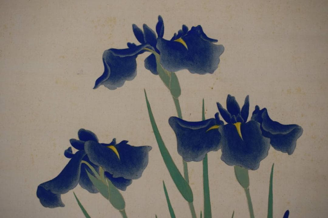 【真作】長谷川玉峰/游鯉図/菖蒲に鯉図/掛軸☆宝船☆Y-812　JM