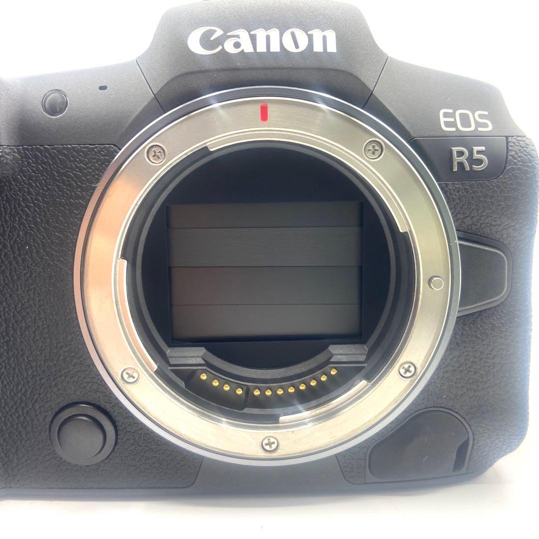 【極美品】　Canon キャノン　EOS R5 ミラーレスカメラ　デジタルカメラ