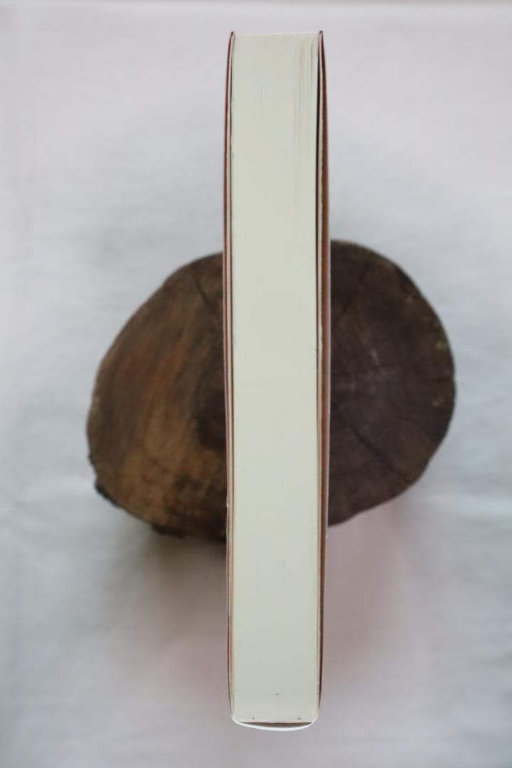 新訂 現代易入門 開運法 井田成明著