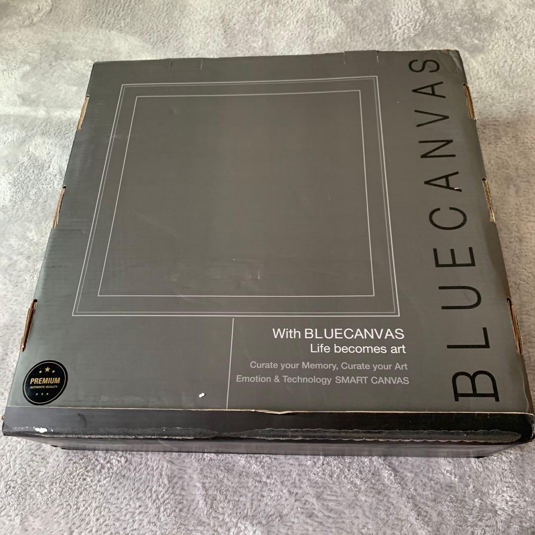 【正規品】BLUECANVAS デジタルカンバス 1920x1920