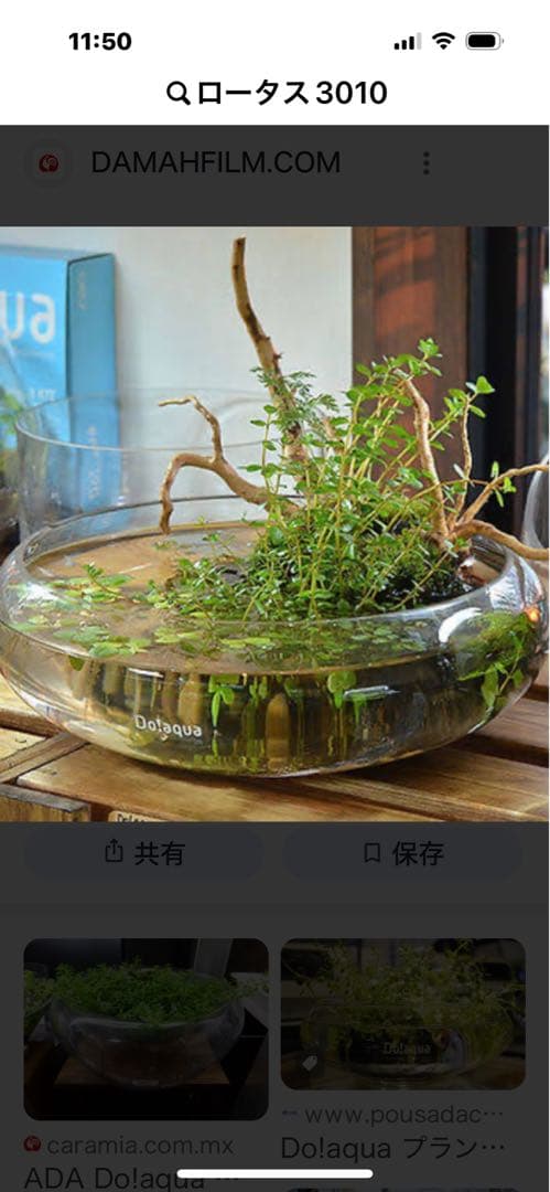 Do!aqua ガラス製円形水槽ロータス3010