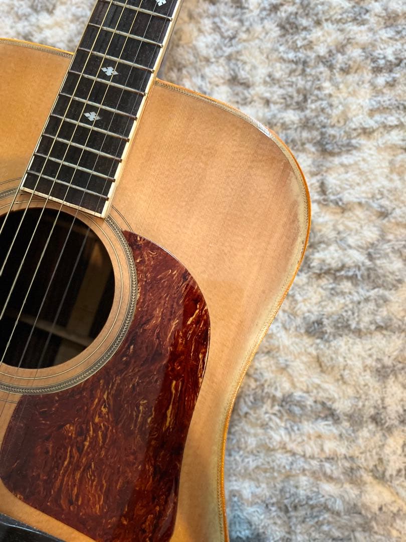 松岡良治　GR-50 エレアコ仕様