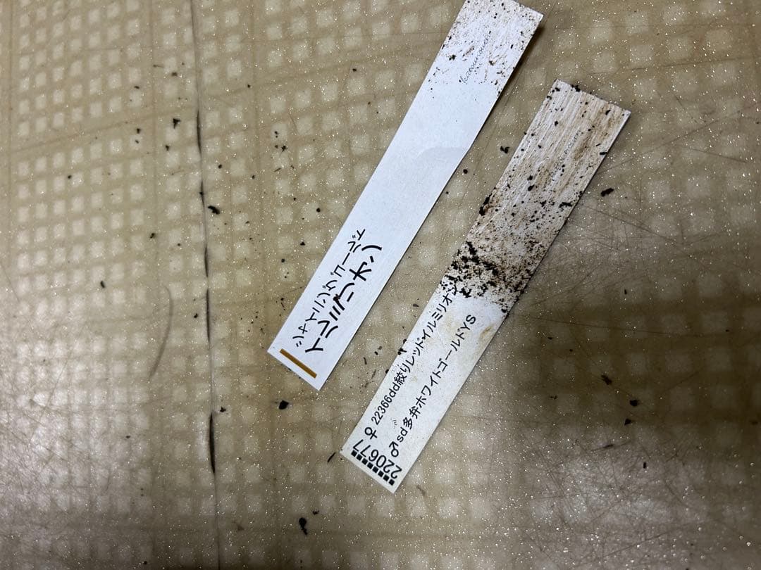 イルミリオン 加藤農園 クリスマスローズ同梱可能