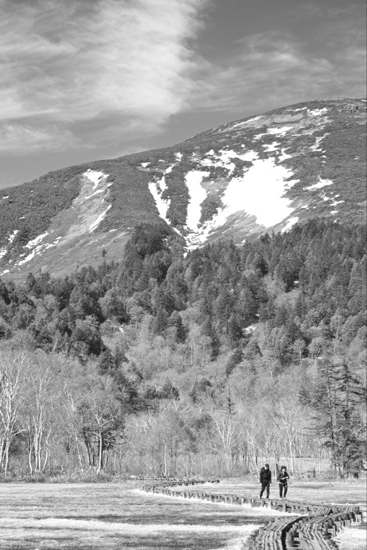 その他 INDUSTAR-61L/Z-MC 50mmF2.8