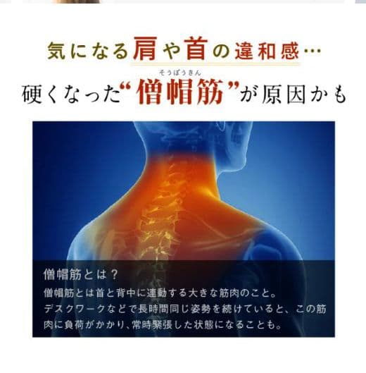 美品☆NIPLUX NECK RELAX 1S