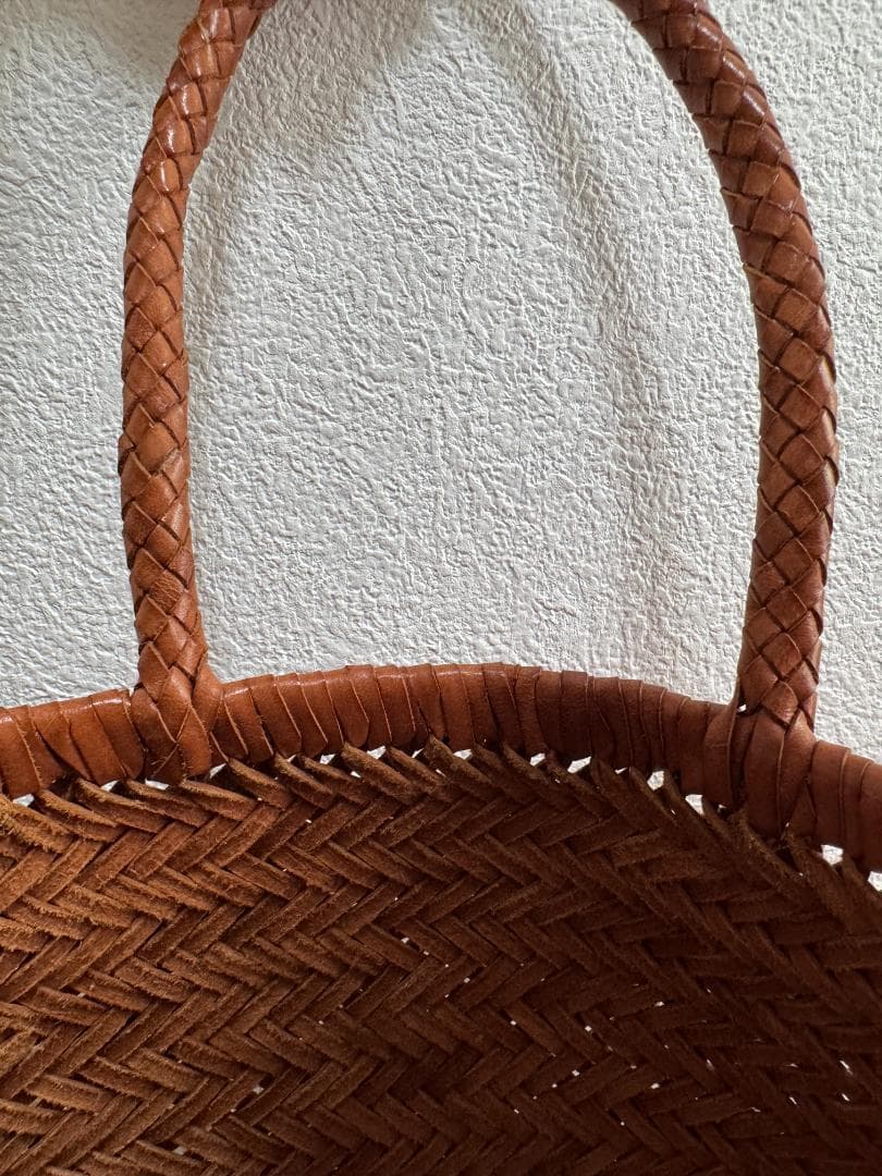 ドラゴン フュージョン Dragon Diffusion メッシュレザーバッグ