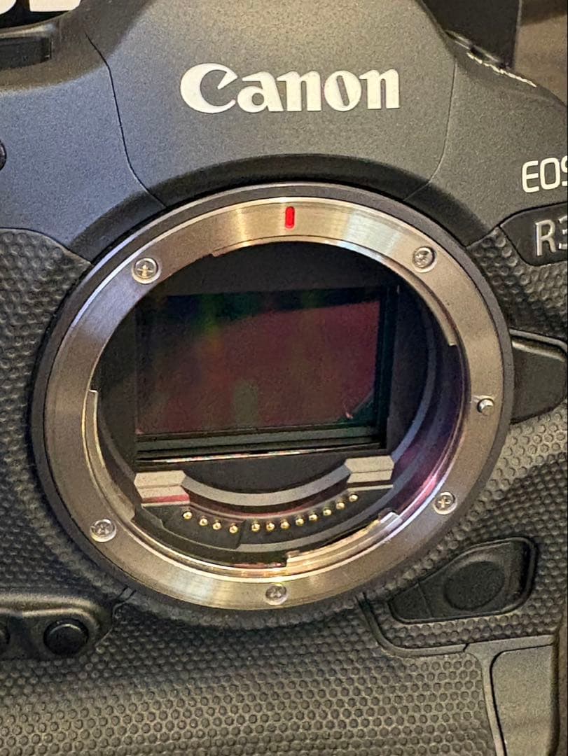 Canon eos R3 おまけ付き