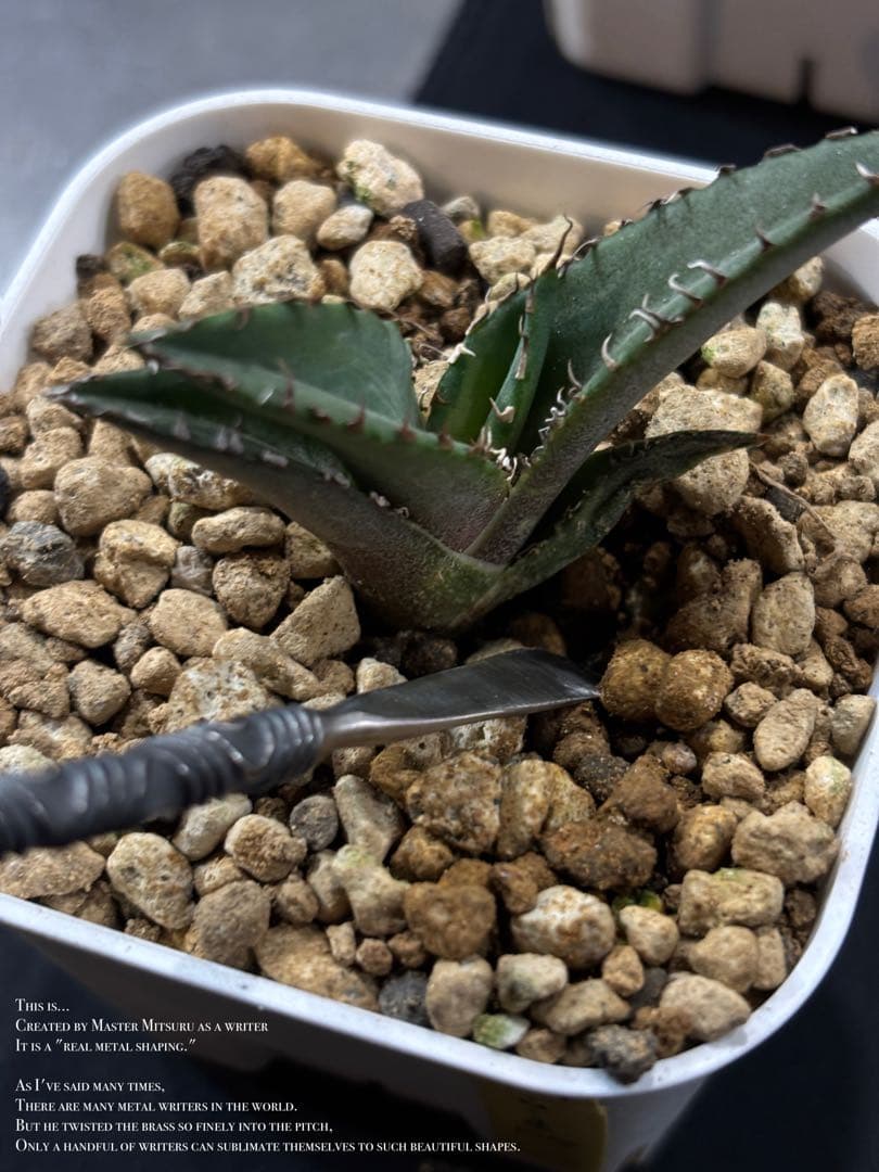 Forge Pick Duo（ソイルステイック)