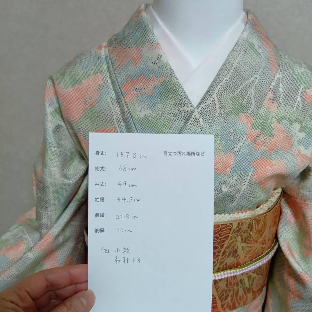 ほ*ん様 タ8879 未使用近い　美品　袷　紬　白紬　十日町紬系　小紋　正絹　フ