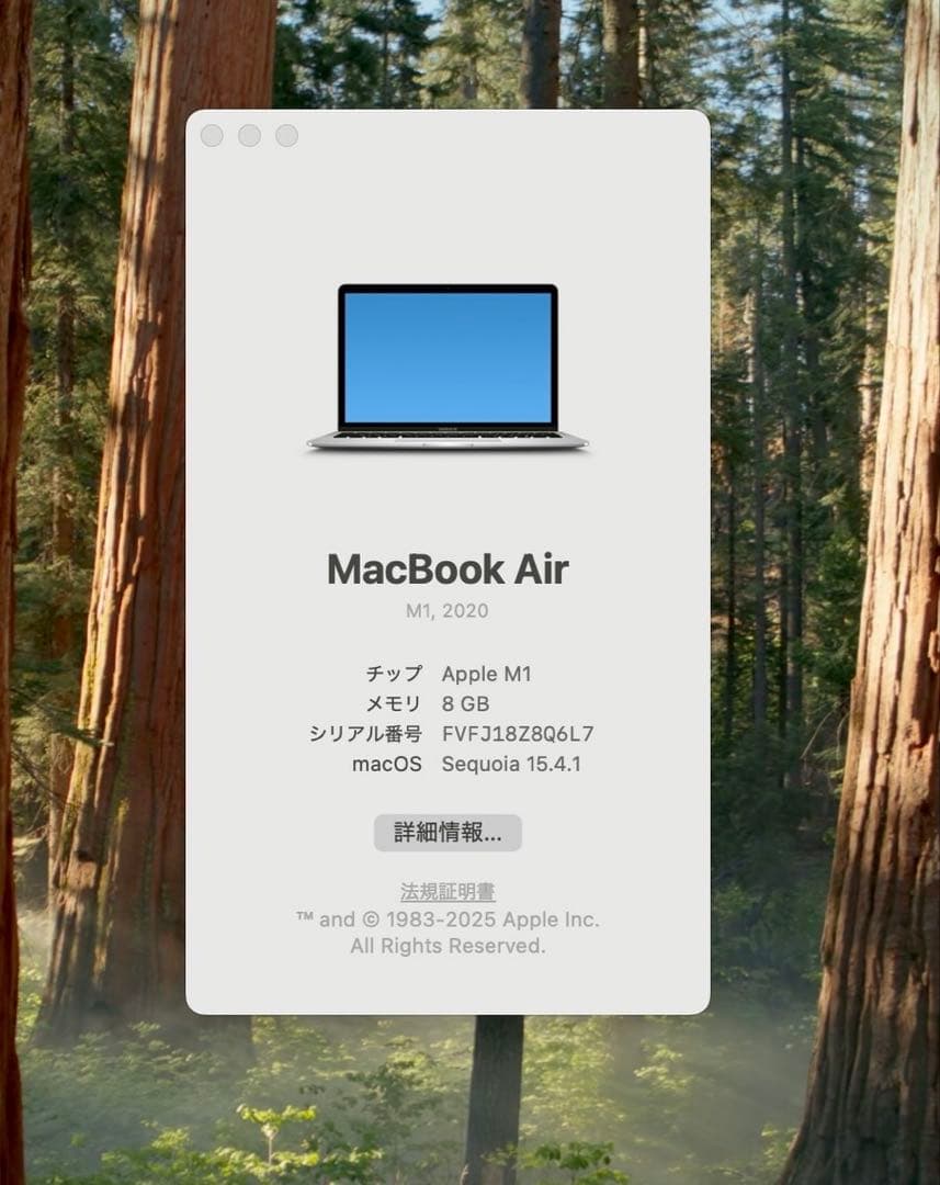 Apple MacBook Air シルバー/充電器付き